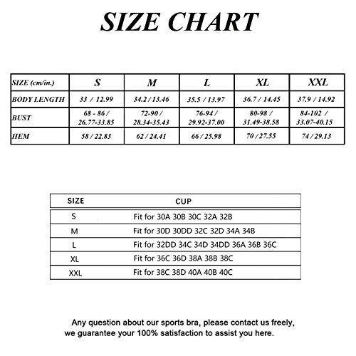 New Women's Quick-Drying Sports Bra Top Spandex Polyester Fiber Mixed Fabric Vest/Camisole for Fitness Workout